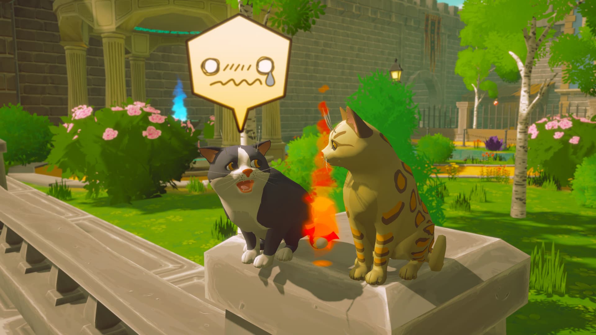 Pawbay screenshot 6