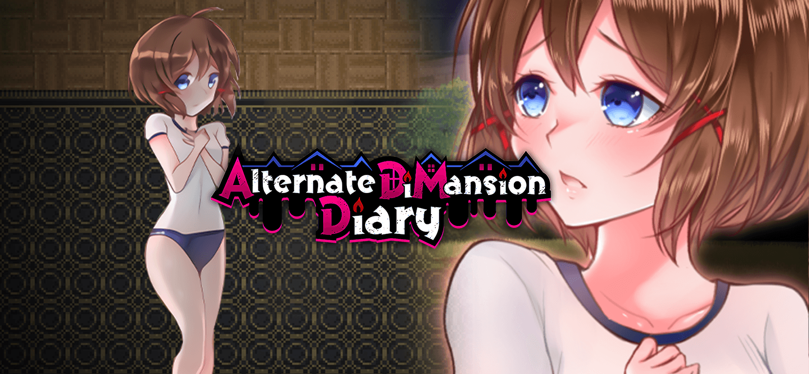 Alternate DiMansion Diary cover art