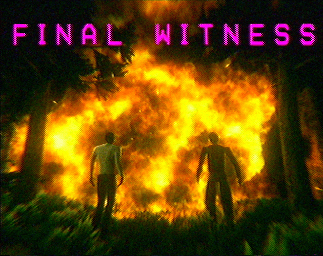 Final Witness cover art