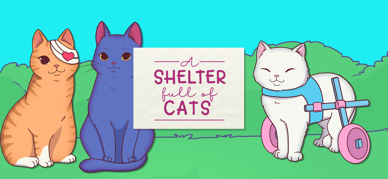 A Shelter Full of Cats cover art